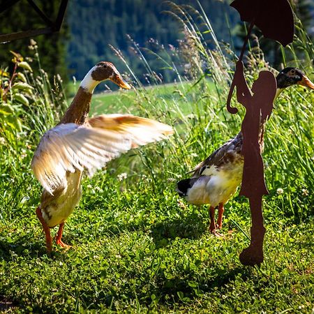 Gschwandtgut Urlaub Am Bauernhof Villa Schwemmberg Buitenkant foto