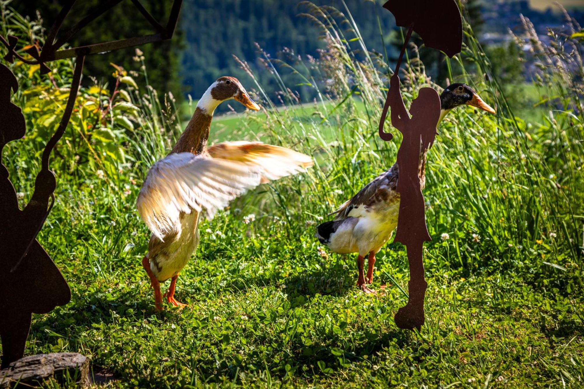 Gschwandtgut Urlaub Am Bauernhof Villa Schwemmberg Buitenkant foto