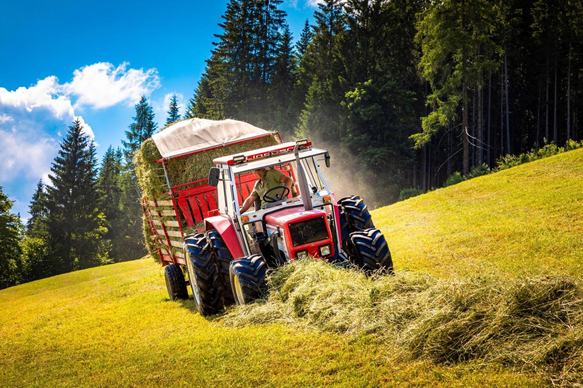 Gschwandtgut Urlaub Am Bauernhof Villa Schwemmberg Buitenkant foto