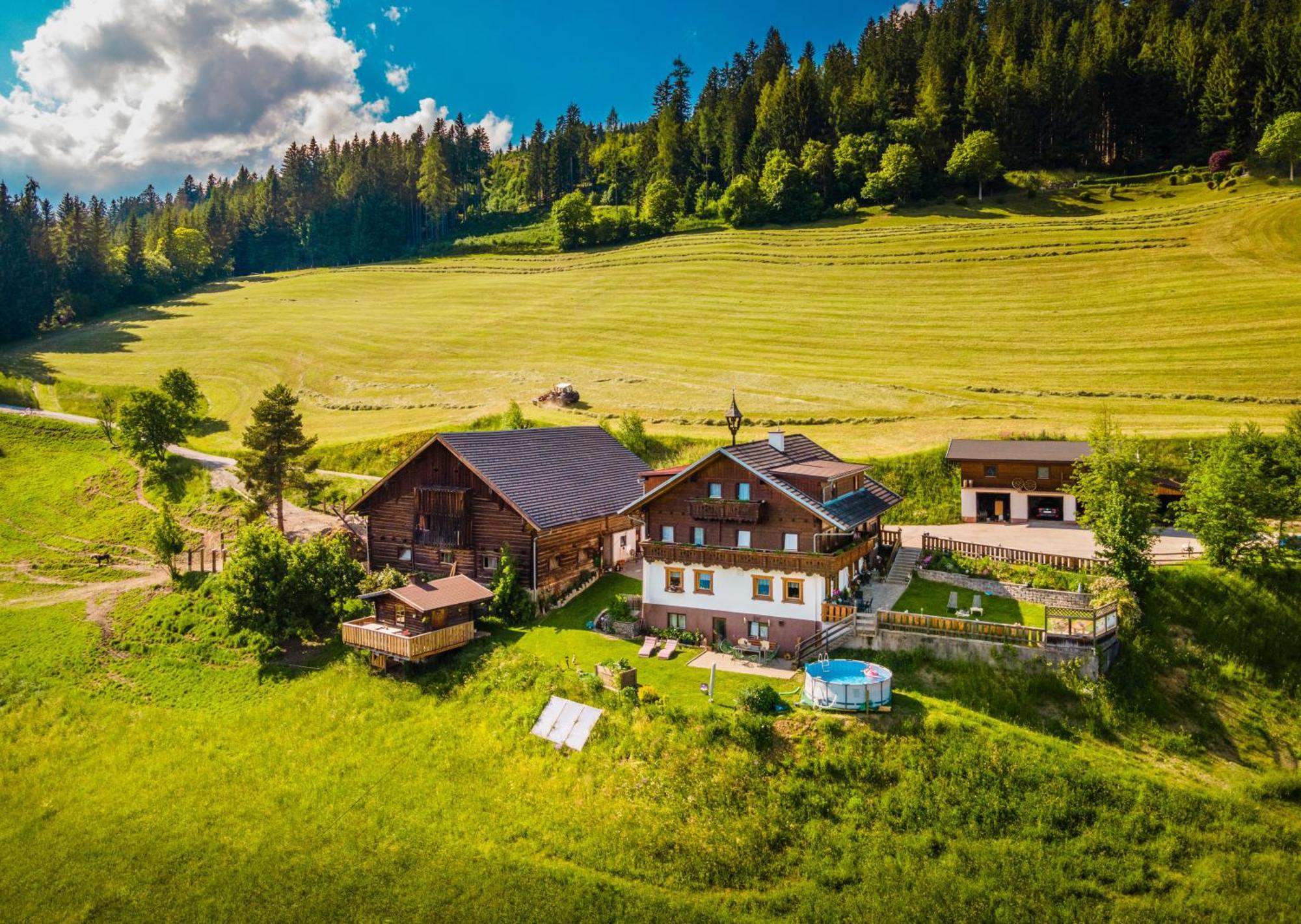 Gschwandtgut Urlaub Am Bauernhof Villa Schwemmberg Buitenkant foto